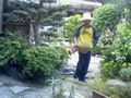 らき☆すたOPの曲に関係なく好き勝手踊るだけだが……