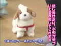 日本直販の最強ロボットペット犬「てつ」ネタMAD2作品
