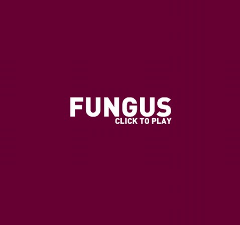 WSgrapefruktFungus.JPG