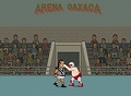 flashgames247NachoKungFu.JPG