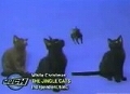 groupercomTheJingleCats.jpg