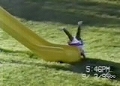msncomFunnyvideo.jpg