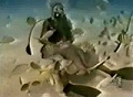vidmaxcomHungrystingraymunchesondiversballs.jpg