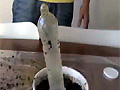 20061024b.jpg