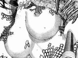 サンデー連載「史上最強の弟子ケンイチ」におっぱい＆乳首