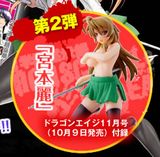 ドラゴンエイジ11月号に「学園黙示録」宮本麗フィギュア