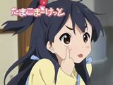 「たまこまーけっと」第4話ウェブ版予告映像が公開