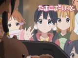 「たまこまーけっと」最終回ウェブ版予告映像が公開