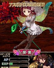 ドラプロで6月の花嫁になるために冥府の花を掻き集めろ！