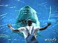 aquariumtrouble.jpg