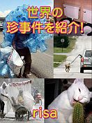 ネトラン文芸賞_世界の珍事件を紹介！