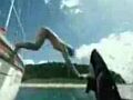 divetoshark.jpg