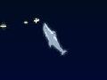 dolphinolympicsmall.jpg