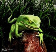 frogchop.jpg