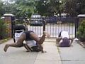 reggae_dance_jamaica.jpg