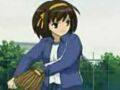 samuraiharuhi.jpg