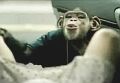 trunkmonkey.jpg