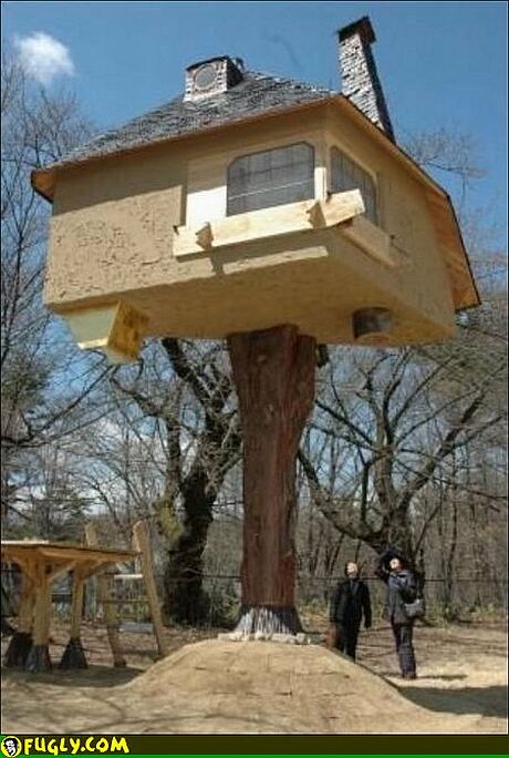 birdmanshouse.jpg