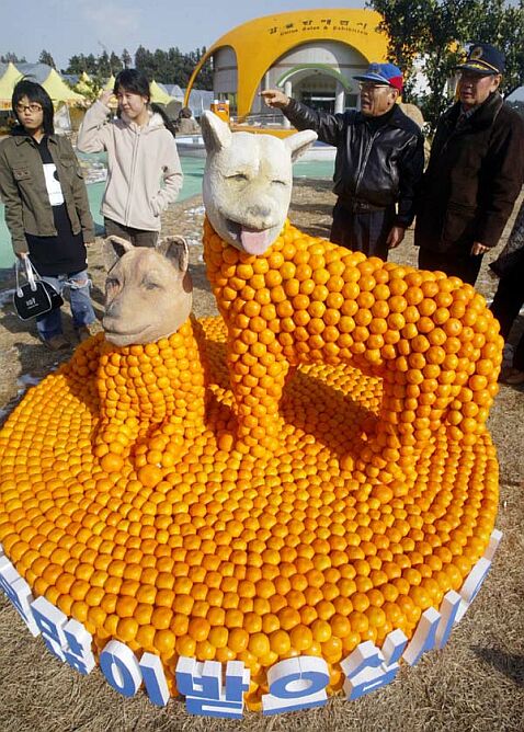 koreanorangedog.jpg