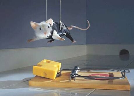 missionrat.jpg