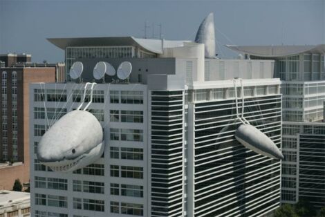 サメ御殿