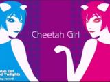 チーターマンBGMリミックスの最高峰「チーターガール」 :にゅーあきばどっとこむ