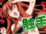 「ハイスクールD×D」第13巻限定版BD収録アニメのCM映像