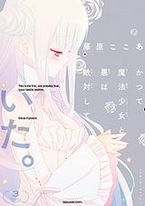 藤原ここあ「かつて魔法少女と悪は敵対していた。」完結の第3巻