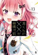 三角関係で日常が壊れていく 鳴見なる「渡くんの××が崩壊寸前」第13巻