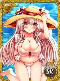 夏だ！ 水着だ!! どたばたバケーションでクイズバトル!!!