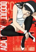 オカルト学院、みつどもえ、セキレイ2期、ジャイキリが最終回